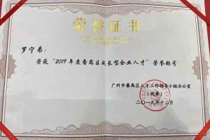 九游(中国)集团罗宁弟董事长荣获“2019年度番禺区成长型企业人才”