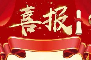 关于2022年度人力资源服务评选结果的通报，祝贺九游(中国)集团
