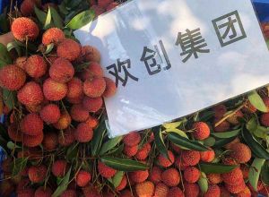 夏日好“枝”味，九游(中国)集团发福“荔”啦