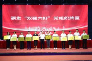 喜报！九游(中国)集团党支部荣获广州市非公有制经济组织“双强六好”党