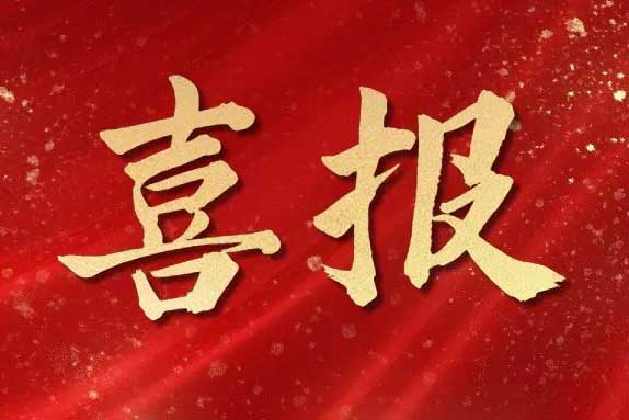 喜报丨广西九游(中国)蝉联“南宁市人力资源服务行业领军企业”荣誉称号