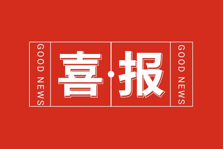 年关将至，喜报连连 | 九游(中国)集团再添多项荣誉