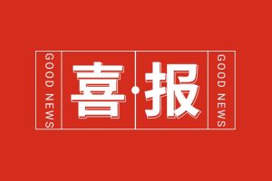 喜报！九游(中国)集团党支部书记、总裁陈文舒荣登“2024人力资源服